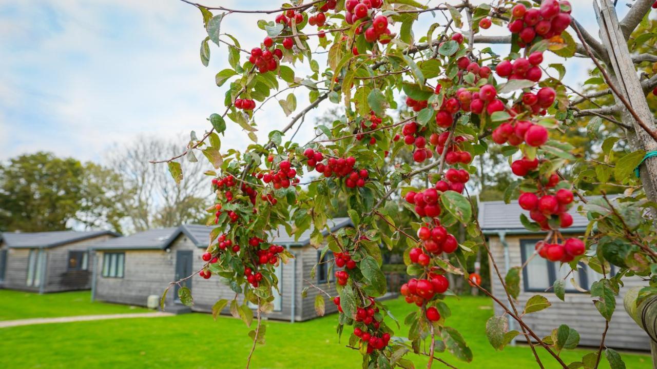 Warrenwood Country Park Hotel Polegate Bagian luar foto